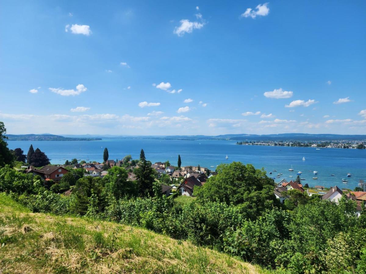 Ferienwohnung In Singen Am Hohentwiel - Seenah Zewnętrze zdjęcie